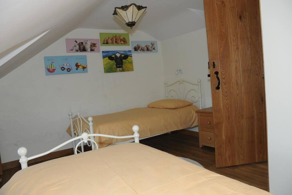 Ty-Hapus Cottage Jordanston 外观 照片